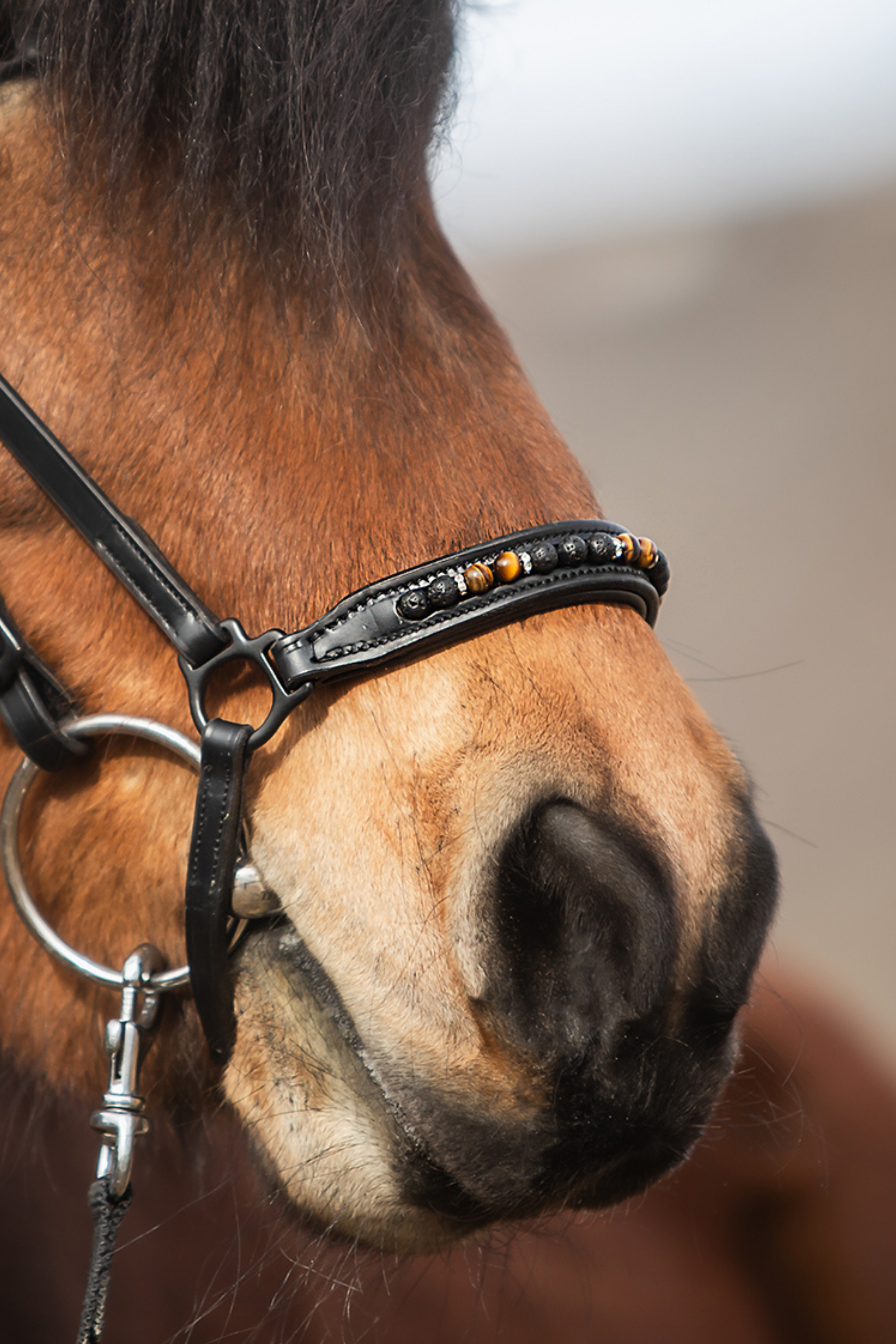 Orka Noseband